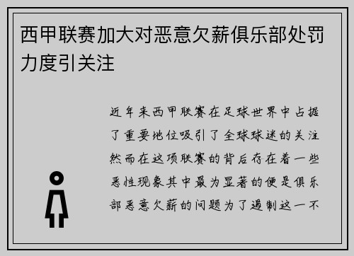 西甲联赛加大对恶意欠薪俱乐部处罚力度引关注 西甲联赛加大对恶意欠薪俱乐部处罚力度引关注